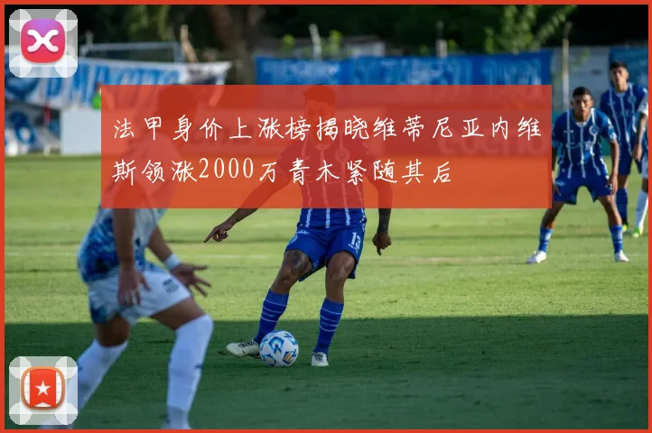 法甲身价上涨榜揭晓维蒂尼亚内维斯领涨2000万青木紧随其后