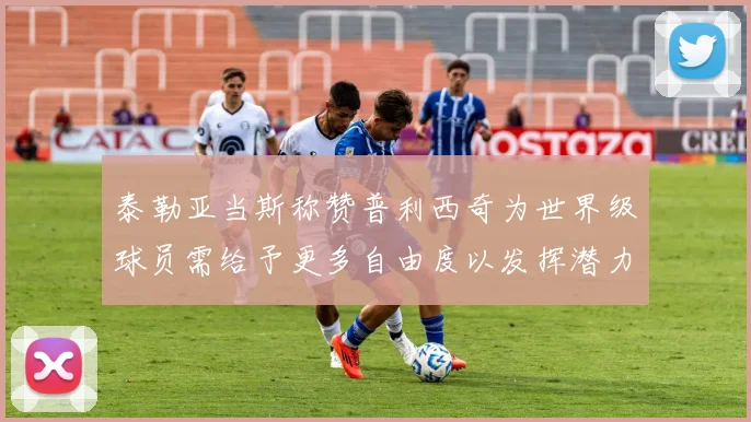 泰勒亚当斯称赞普利西奇为世界级球员需给予更多自由度以发挥潜力
