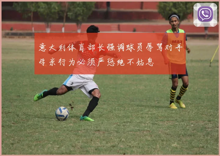 意大利体育部长强调球员辱骂对手母亲行为必须严惩绝不姑息