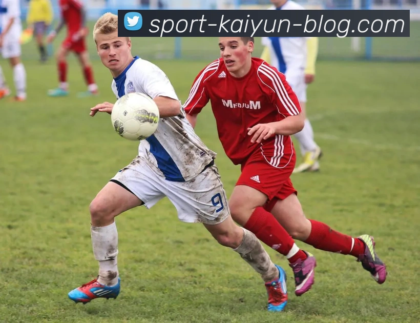 开云体育平台生态图